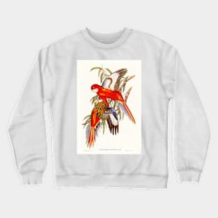 Fiery Parakeet (Platycercus ignitus) Crewneck Sweatshirt